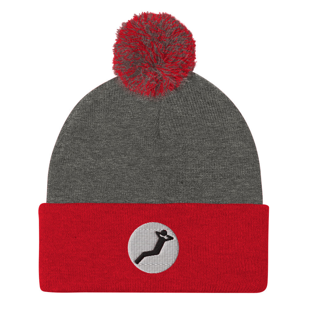 YWD Pom Pom Knit Cap