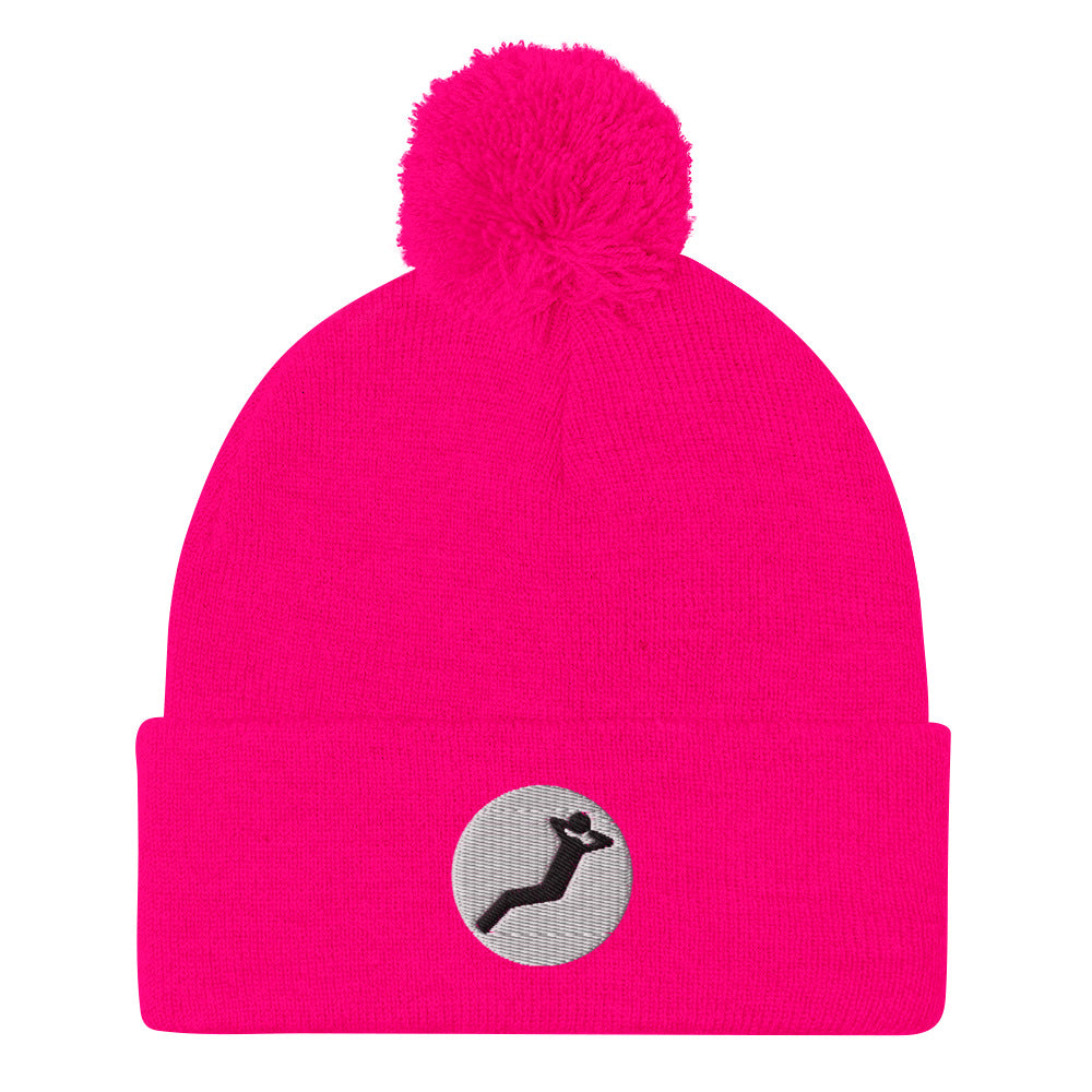 YWD Pom Pom Knit Cap
