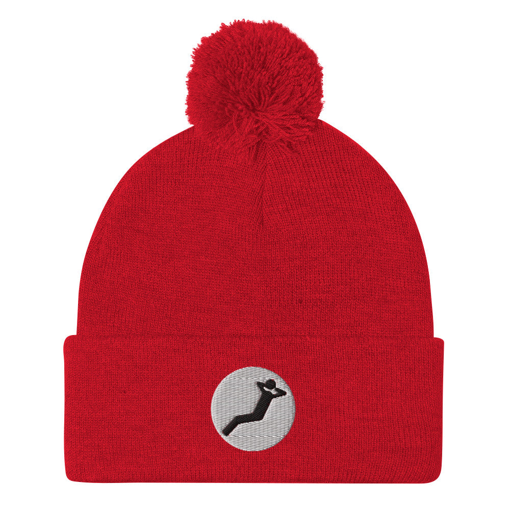 YWD Pom Pom Knit Cap